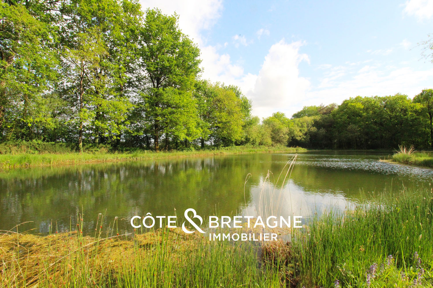 Agence immobilière de COTE ET BRETAGNE IMMOBILIER