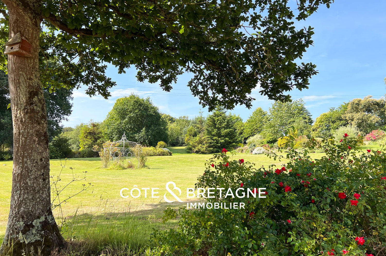 Photo bien immobilier